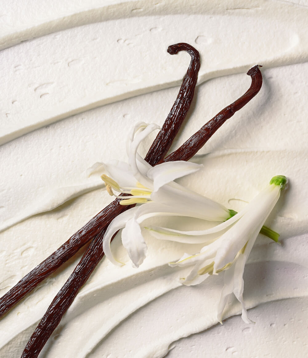 Vanilla Cashmere Travel Body Wash